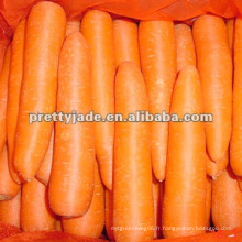 Ail de carottes fraîches